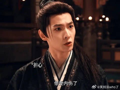 所有人感受猫鼠的权威