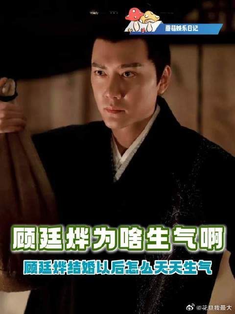 顾廷烨，你怎么天天都在生气啊
