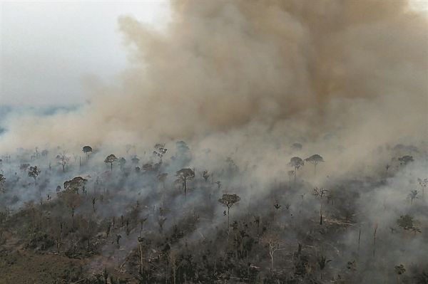  2023—2024年厄尔尼诺现象过后，亚马孙雨林火灾肆虐。图片来源：《自然》网站