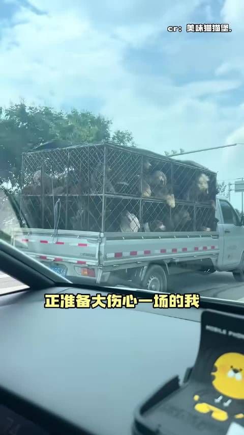 原来是凤銮春恩车啊！