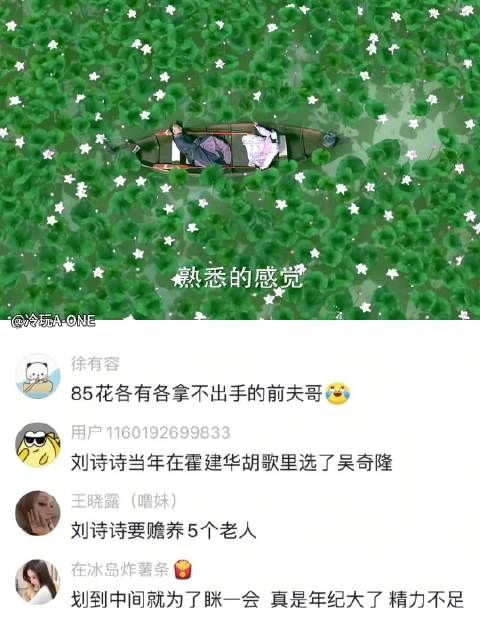 当时的刘诗诗演技尚且青涩，但少女的娇羞慌乱，自然生动，一点不像演的