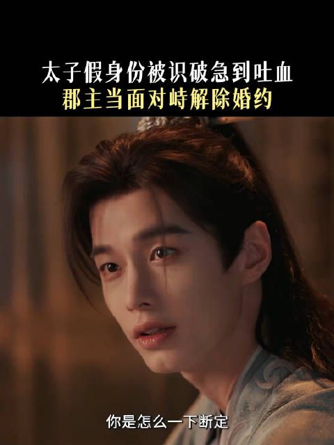 糟了，太子殿下被郡主识破掉马甲了有史以来第一位被自己气吐血的男主！