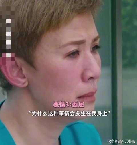 别人静静欣赏日出，吴君如周冬雨直接开演，综艺氛围感瞬间拉满