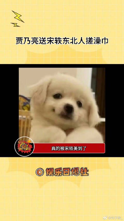 哈哈哈哈美女也无法拒绝东北搓澡的魅力！贾乃亮送宋轶东北人搓澡巾