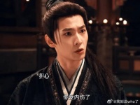 所有人感受猫鼠的权威