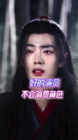好的演员不会消费角色、肖战、孙俪、甄嬛传、陈情令