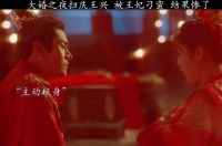 大婚之夜扫庆王兴