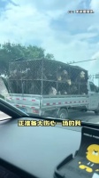 原来是凤銮春恩车啊！