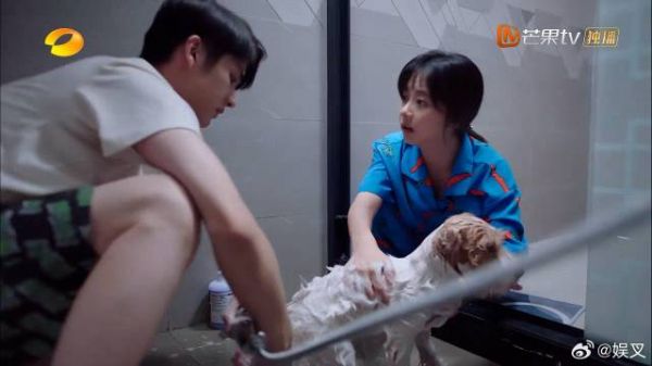 贺子秋需要低迷，不想跟李尖尖说话，李尖尖浑身刺挠