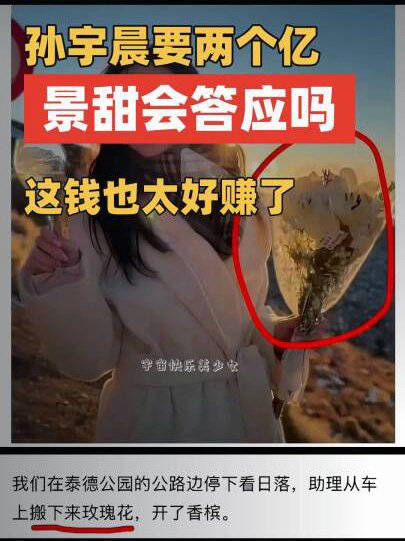 孙宇晨开口向景甜索要两亿和解费