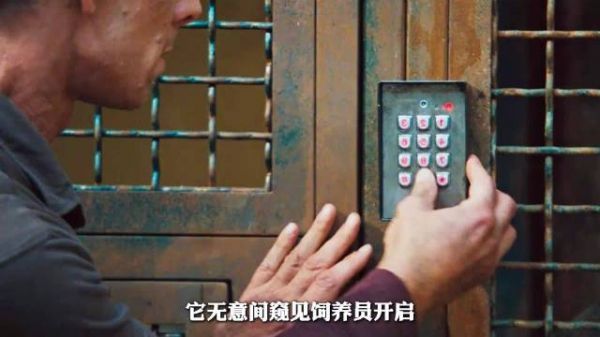 揭秘:猴子竟能记住管理员密码,动物园惊现超能力猴王!