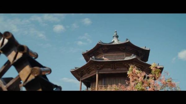 我家大姐儿以后的花路我都铺好了