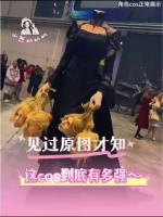 真的很好奇coser老师在里面到底是啥姿势