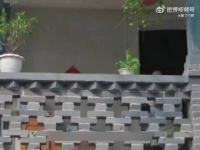 奶奶让孙子吃饺子，父亲发现不对劲，这下惨了