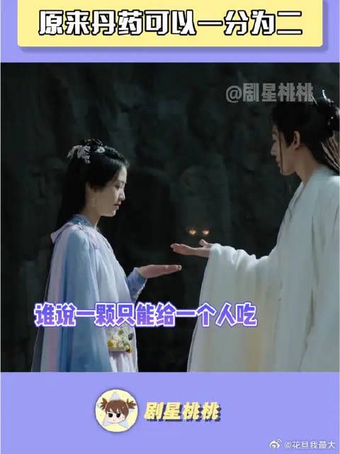仙台有树解答了我多年的疑惑