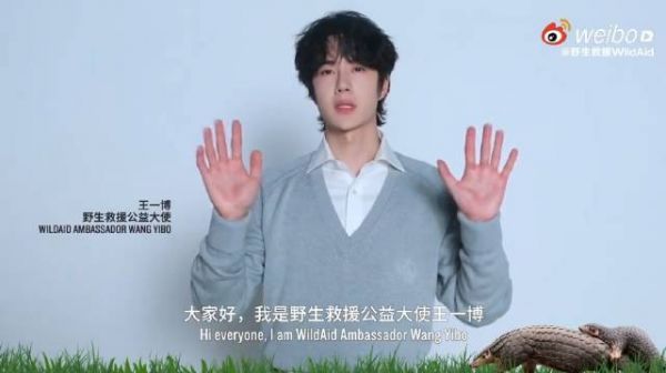 王一博野生救援公益大使为穿山甲点亮希望