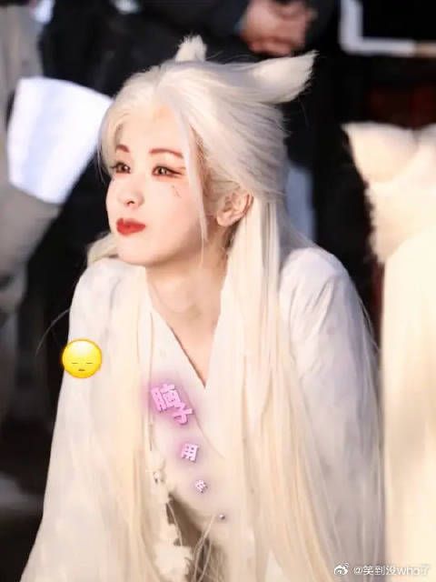全心全意为妄言
