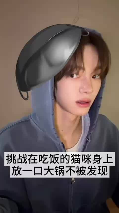 挑战在吃饭的猫咪身上放一口大锅不被发现