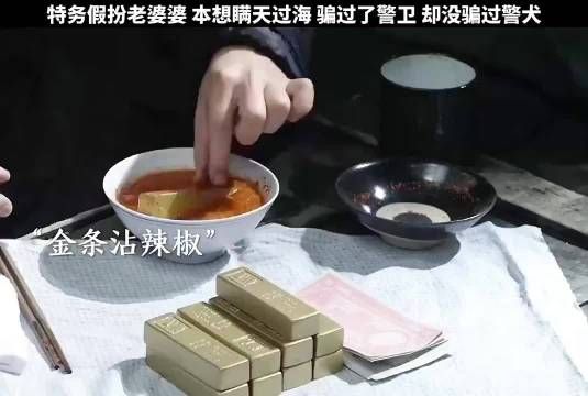 瞒过了所有人，唯独没有瞒过狗的鼻子！