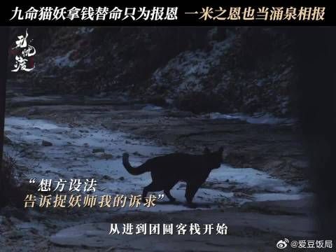 我不知道该怎么帮你，幸好我的命还有“价值”