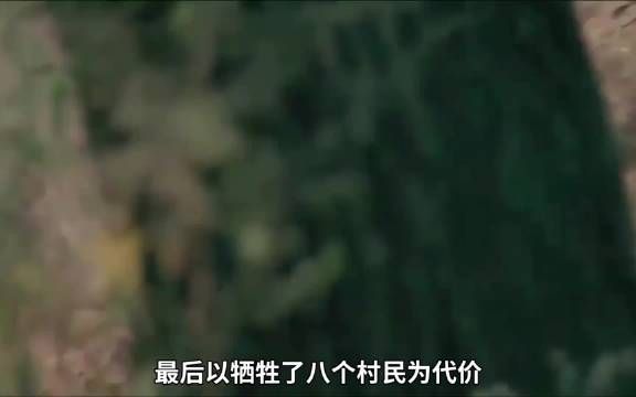 石柱冒死攀崖挖宝参，反被村民绑山献祭成罪人