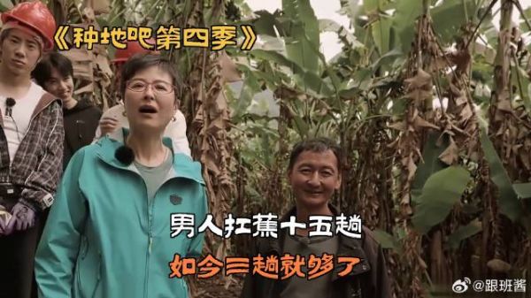 男人扛蕉十五趟，如今三趟就够了
