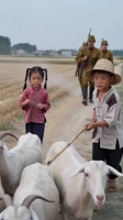 好聪明小妹妹小妹妹