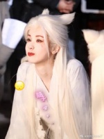 全心全意为妄言