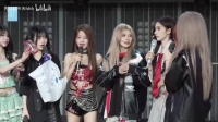 白龙马选手狼狈摔倒，绿蜥蜴选手头被卡住