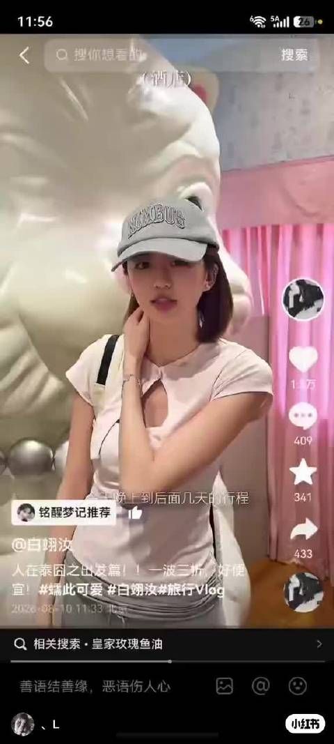 你们所谓的爆的音频，只是一个跟lty声音很像的一个男闺蜜