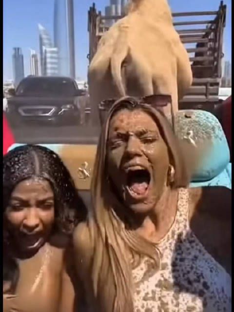 猝不及防！敞篷车里自拍，被一旁骆驼的排泄物直接击中全身