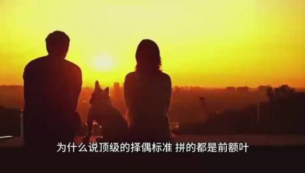 为什么说顶级的择偶标准拼的是前额叶