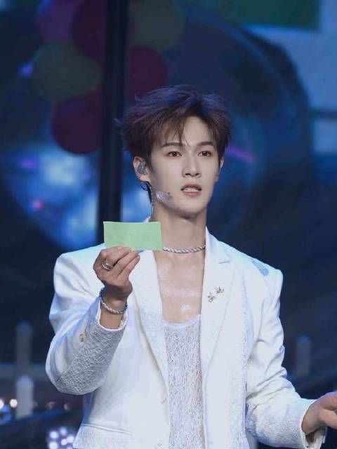 当理性止步之处，爱意悄然启程