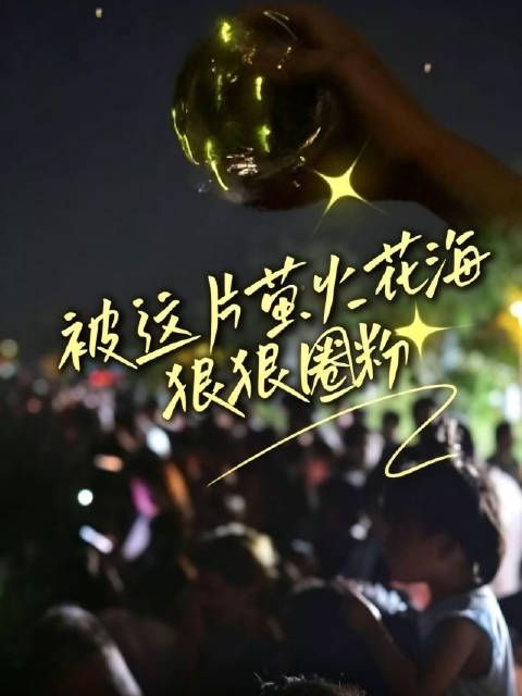 荧光漫野夏赴花约
