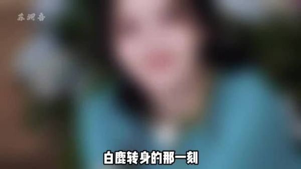 刘些宁拥抱安慰白鹿，李晨郑恺眼眶湿润