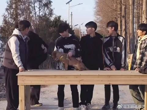 鹭崽就是但凡你有预备跑他就会准备好抱你的动作