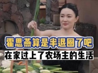 霍思燕淡出荧屏的谜底揭晓，妥妥的娱乐圈又一位李湘式人物