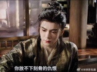 雾妄言知道武拾光放不下刻骨的仇恨，求他放过彼此，只能忍痛离开他