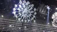 易坦子融花五人再合体，子阳新婚快乐！