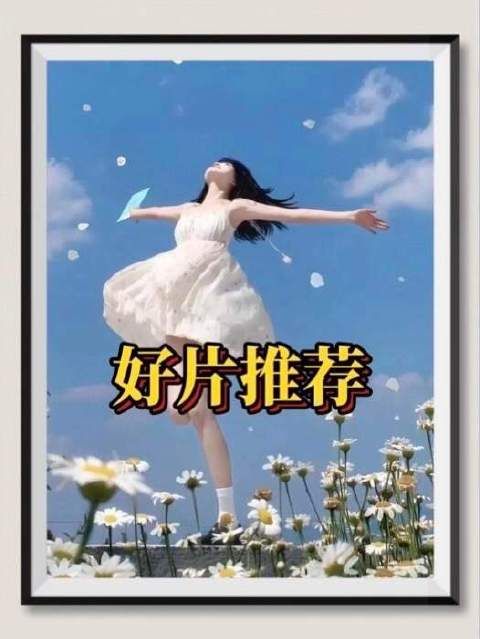 影视深度解析