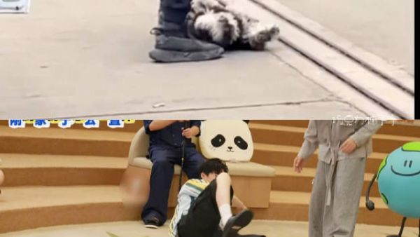 妹妹呆萌，哥哥同款，刘呆米一家神态复刻