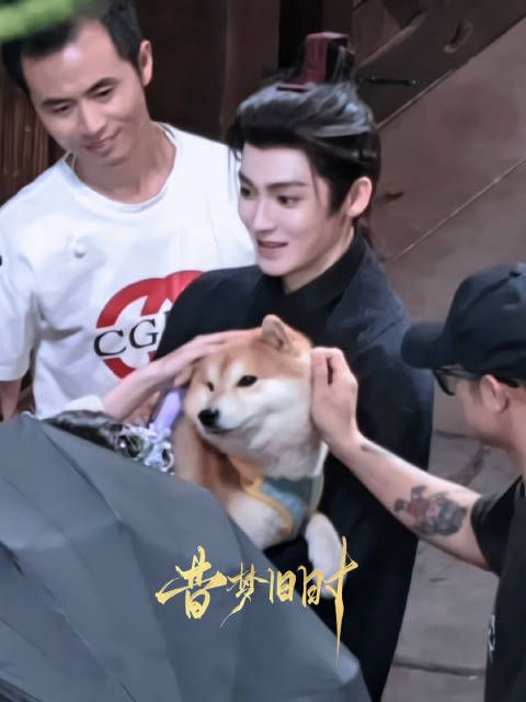 我的宝宝@侯明昊 就这样全方位地展示自己的爱狗