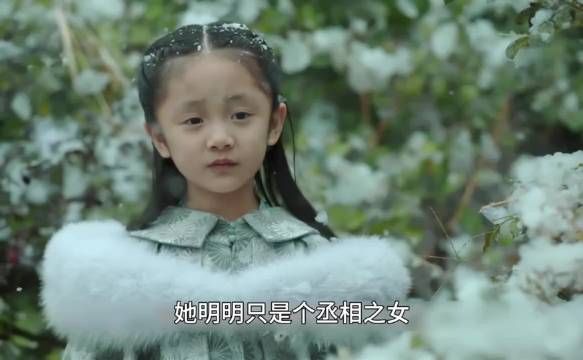 她明明只是个丞相之女，身份却比公主还高贵