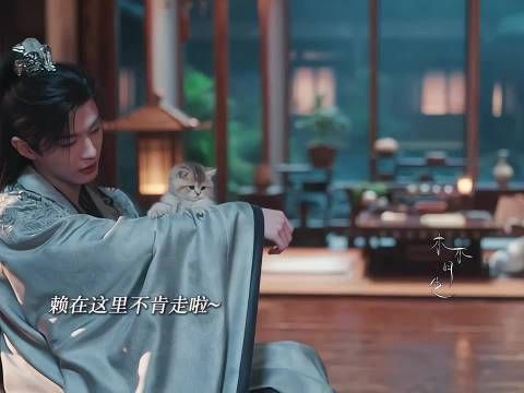 确认订婚后直接赖在她家不走当男主人喽 百花杀｜何与｜孟子义