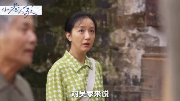 《小巷人家》吴家给鹏飞找工作真实目的，成功成致命一击