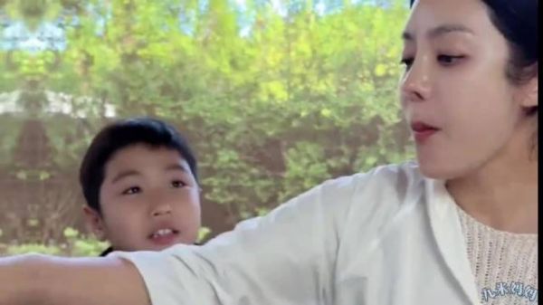 蔡琳 离婚原因，说是不想吵了，暗指和高梓淇家庭有关！