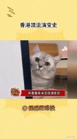 香港顶流演变史，以前的审美不是挺好的吗？