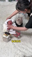 十八留给果果的照片成暖心念想