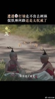 居然还有这么可爱的宝宝妖怪？！