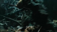 《绝版神作》揭秘！这电影为何能封神？观众：不看后悔终生！